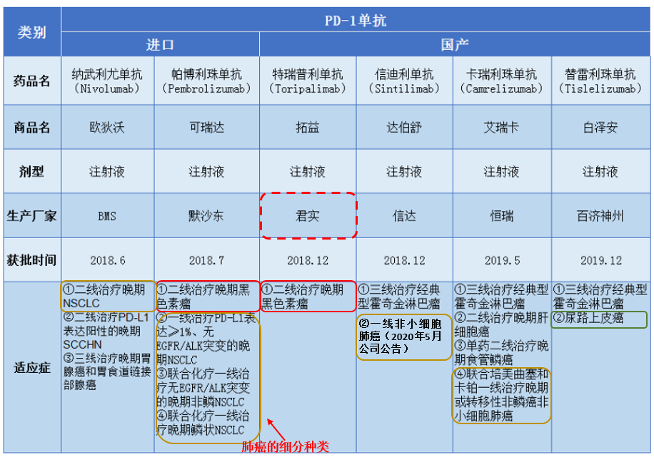 1)特瑞普利单克隆抗体