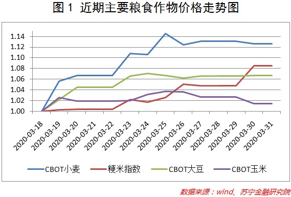 疫情会引爆全球粮食危机吗 疫情会引爆全球粮食危机吗
